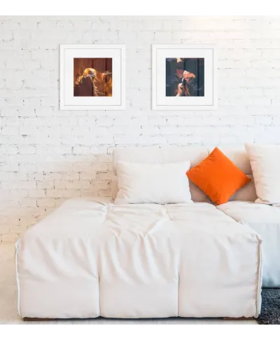 Australia Dwunastu Apostołów - reprodukcja