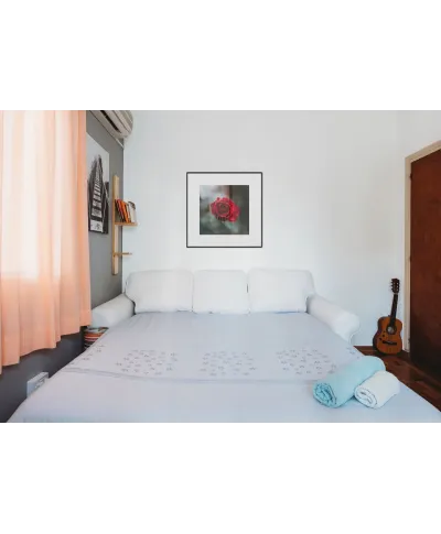 Czerwona Róża - reprodukcja