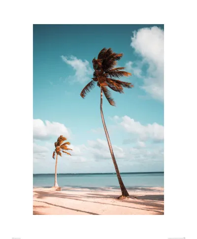 Dominikana - reprodukcja