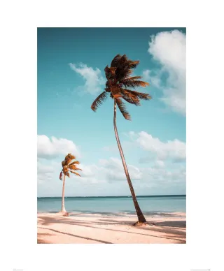 Dominikana - reprodukcja