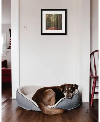 Droga wśród Sekwoi - reprodukcja