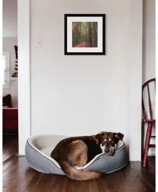 Droga wśród Sekwoi - reprodukcja