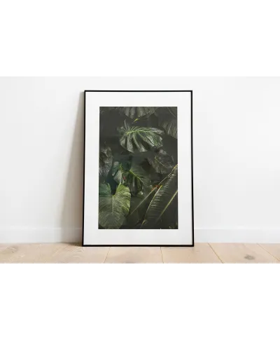 Egzotyczne liście - reprodukcja