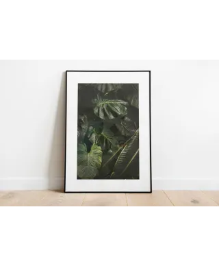 Egzotyczne liście - reprodukcja