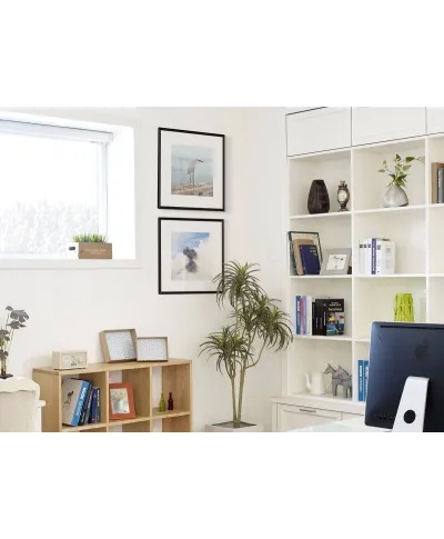 Erupcja Wulkanu - reprodukcja