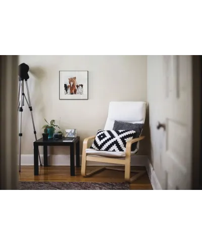 Islandzkie kucyki - reprodukcja