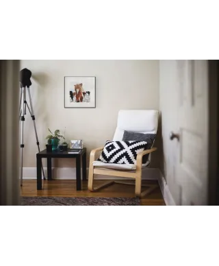 Islandzkie kucyki - reprodukcja