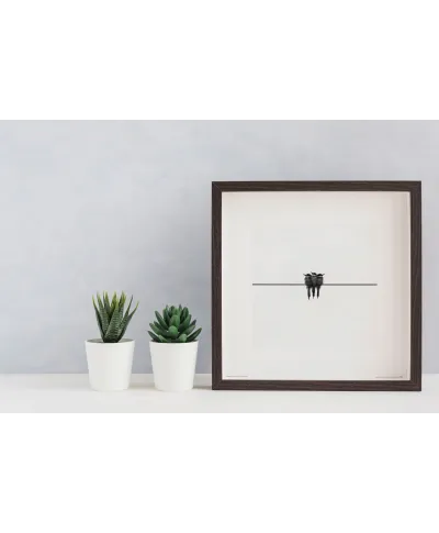 Jaskółki - reprodukcja