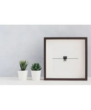 Jaskółki - reprodukcja