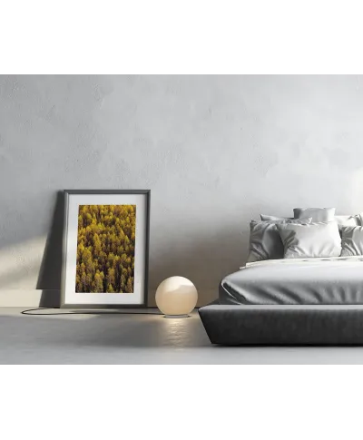 Jesienny Las - reprodukcja