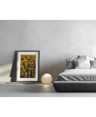 Jesienny Las - reprodukcja