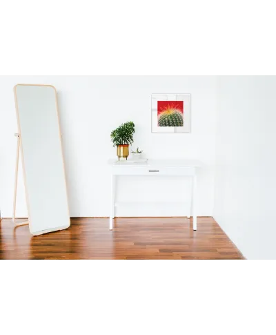 Kaktus Mammillaria - reprodukcja