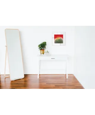 Kaktus Mammillaria - reprodukcja