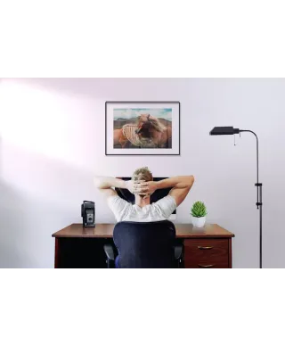 Konie z grzywą - reprodukcja