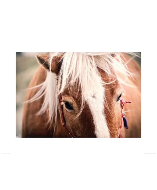 Koń ze złotą grzywą - reprodukcja