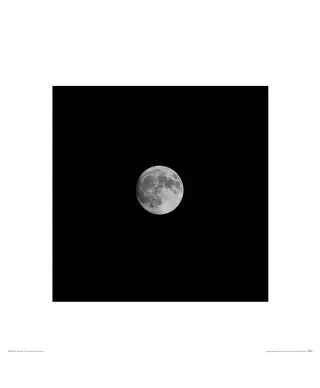 Księżyc w pełni - reprodukcja