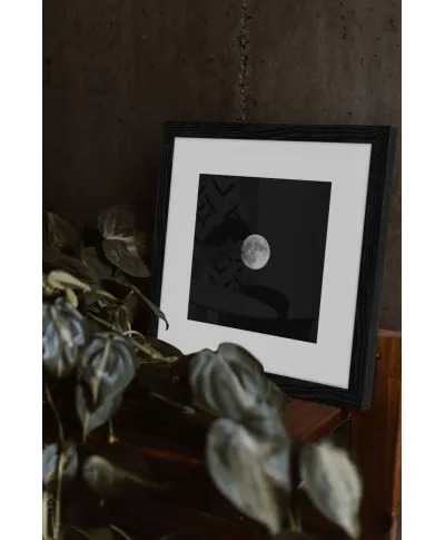 Księżyc w pełni - reprodukcja