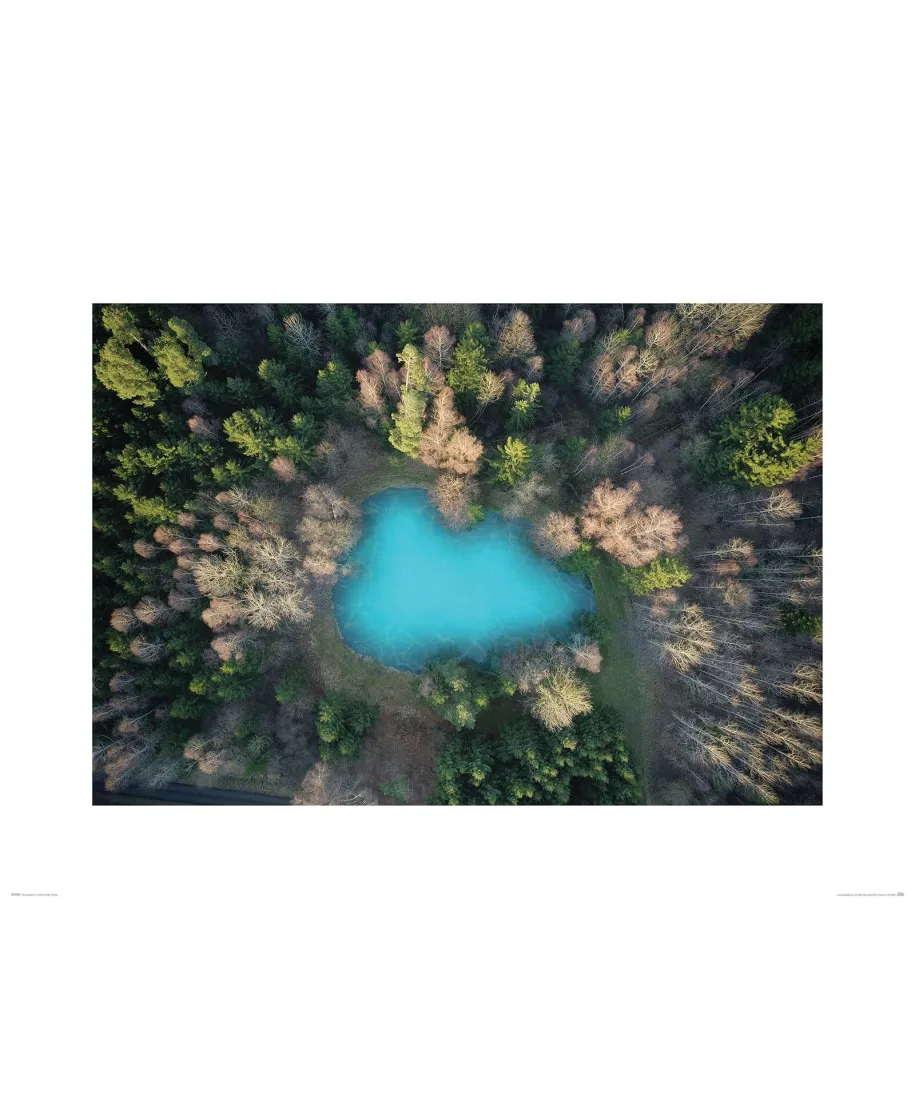 Leśne Jezioro - reprodukcja