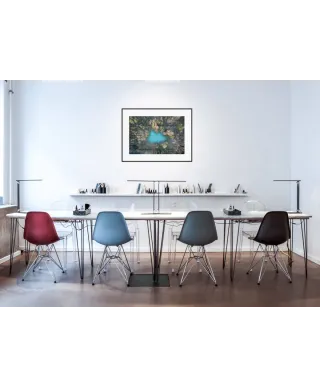 Leśne Jezioro - reprodukcja