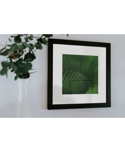 Liść - reprodukcja