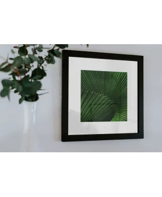 Liść - reprodukcja