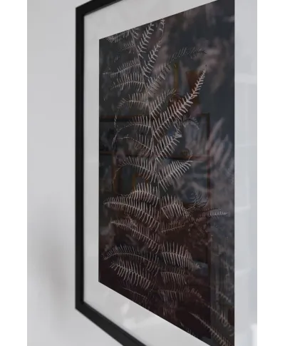 Liść Paproci - reprodukcja