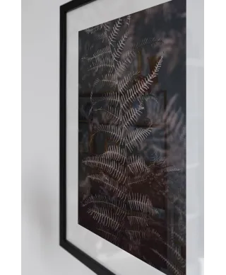 Liść Paproci - reprodukcja