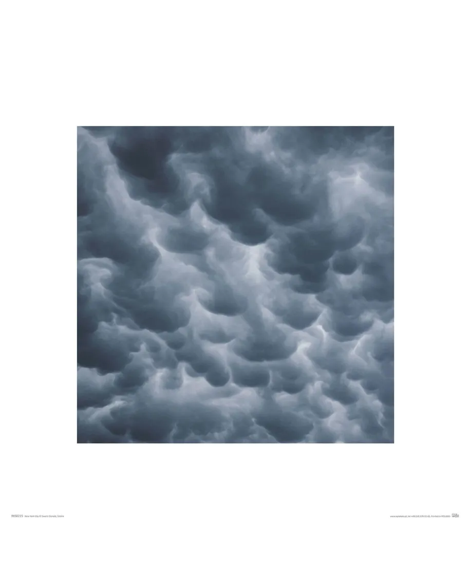 Mammatus - reprodukcja