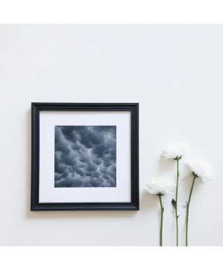 Mammatus - reprodukcja