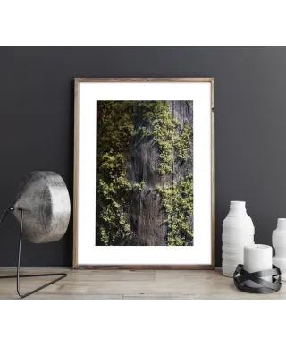 Mech na korze - reprodukcja