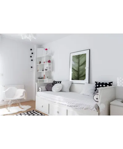 Monstera - reprodukcja