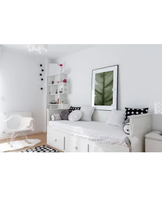 Monstera - reprodukcja