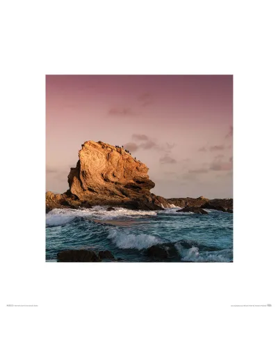 Morska Skała - reprodukcja