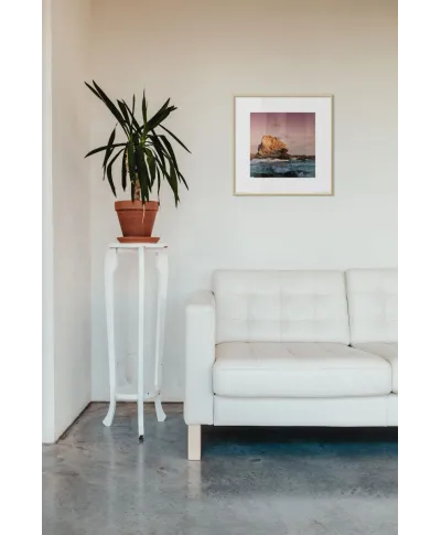 Morska Skała - reprodukcja