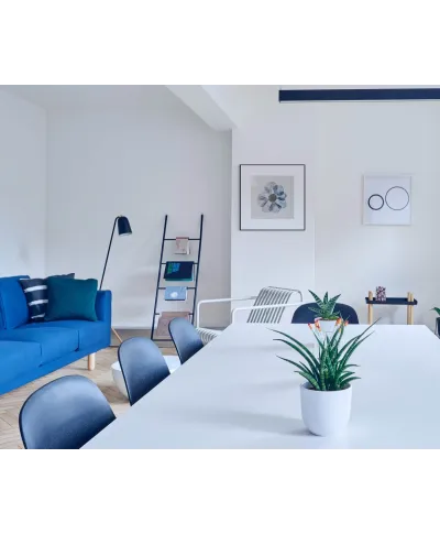 Niebieski Kwiat - reprodukcja