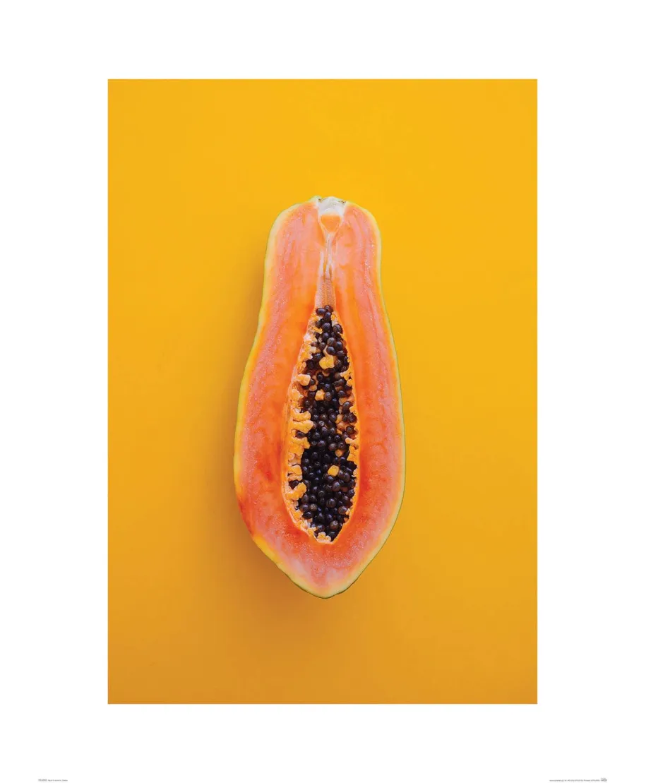 Papaja - reprodukcja