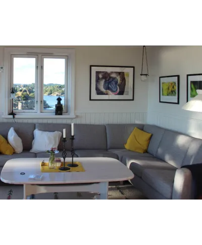 Pawian - reprodukcja