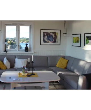 Pawian - reprodukcja