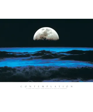 Contemplation - reprodukcja