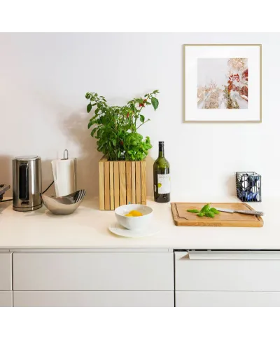 Przyprawy - reprodukcja