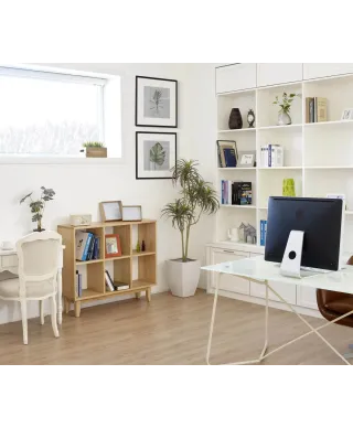 Rozmaryn - reprodukcja