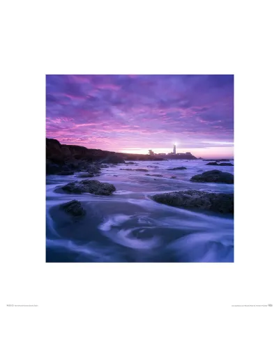 Skaliste wybrzeże - reprodukcja