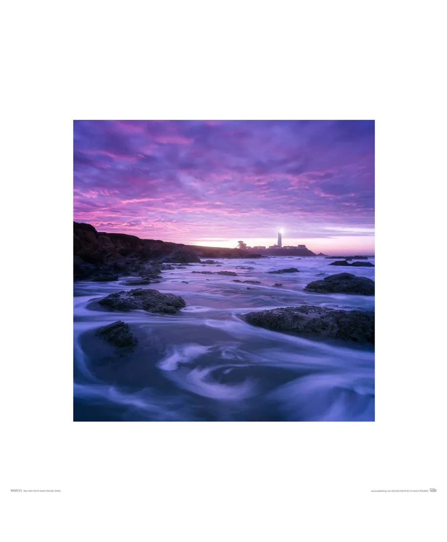 Skaliste wybrzeże - reprodukcja