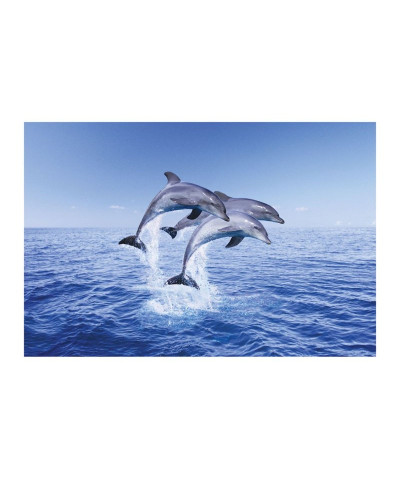 Dolphin Trio - reprodukcja