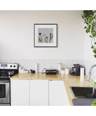 Tulipany - reprodukcja