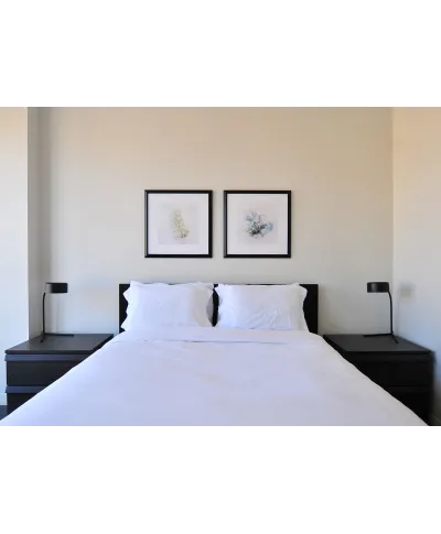 Tymianek - reprodukcja