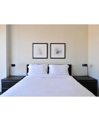 Tymianek - reprodukcja