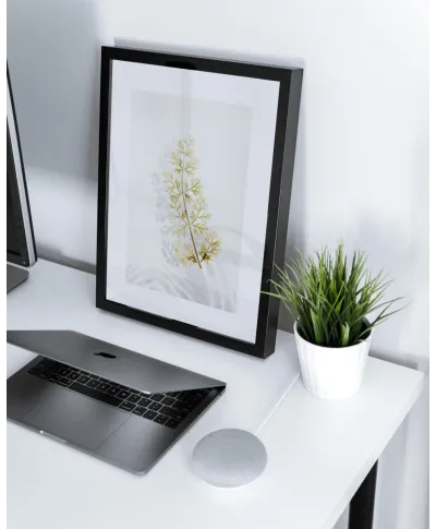 Tymianek - reprodukcja