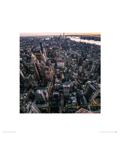 Widok z Empire State Building - reprodukcja