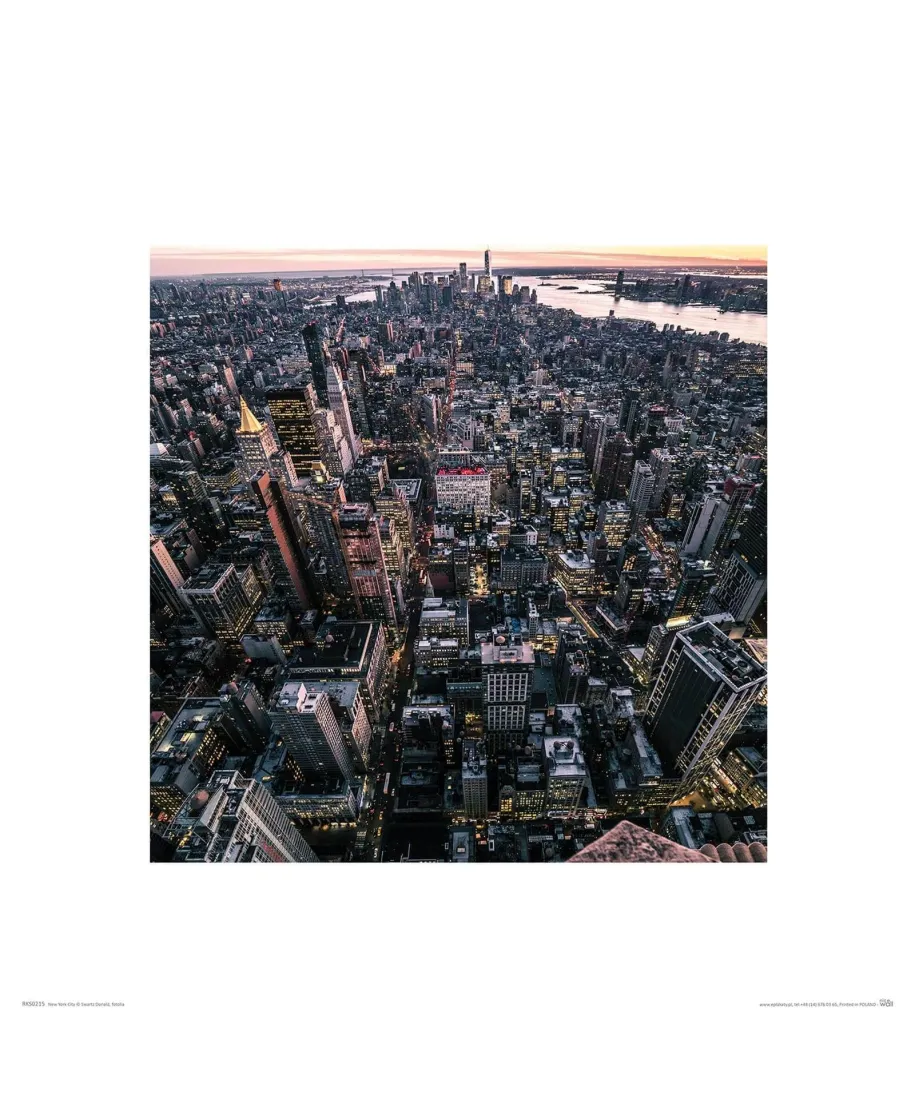 Widok z Empire State Building - reprodukcja